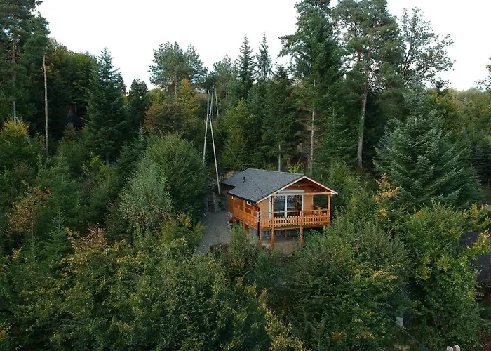 Domek alpejski Domekwroznowiepl Roznow